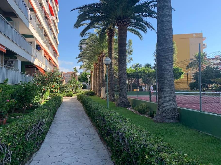 Precioso Apartamento Junto Al Mar La Pobla de Farnals Eksteriør billede